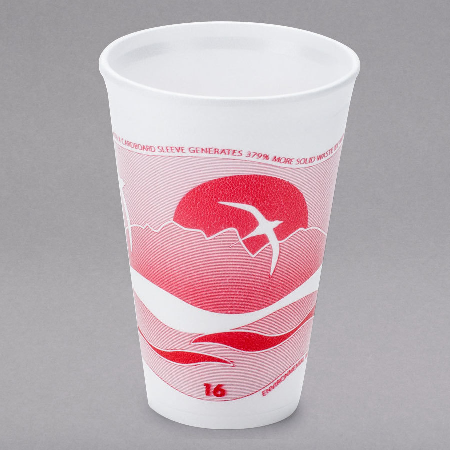 16OZ HORIZON CRANBERRY FOAM  16J16 (1000) 